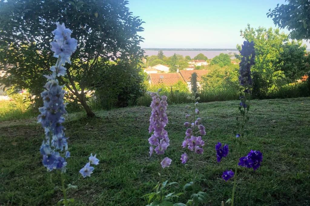Appartement Avec Vue Panoramique Sur L'Estuaire De La Gironde Plassac  Exteriör bild