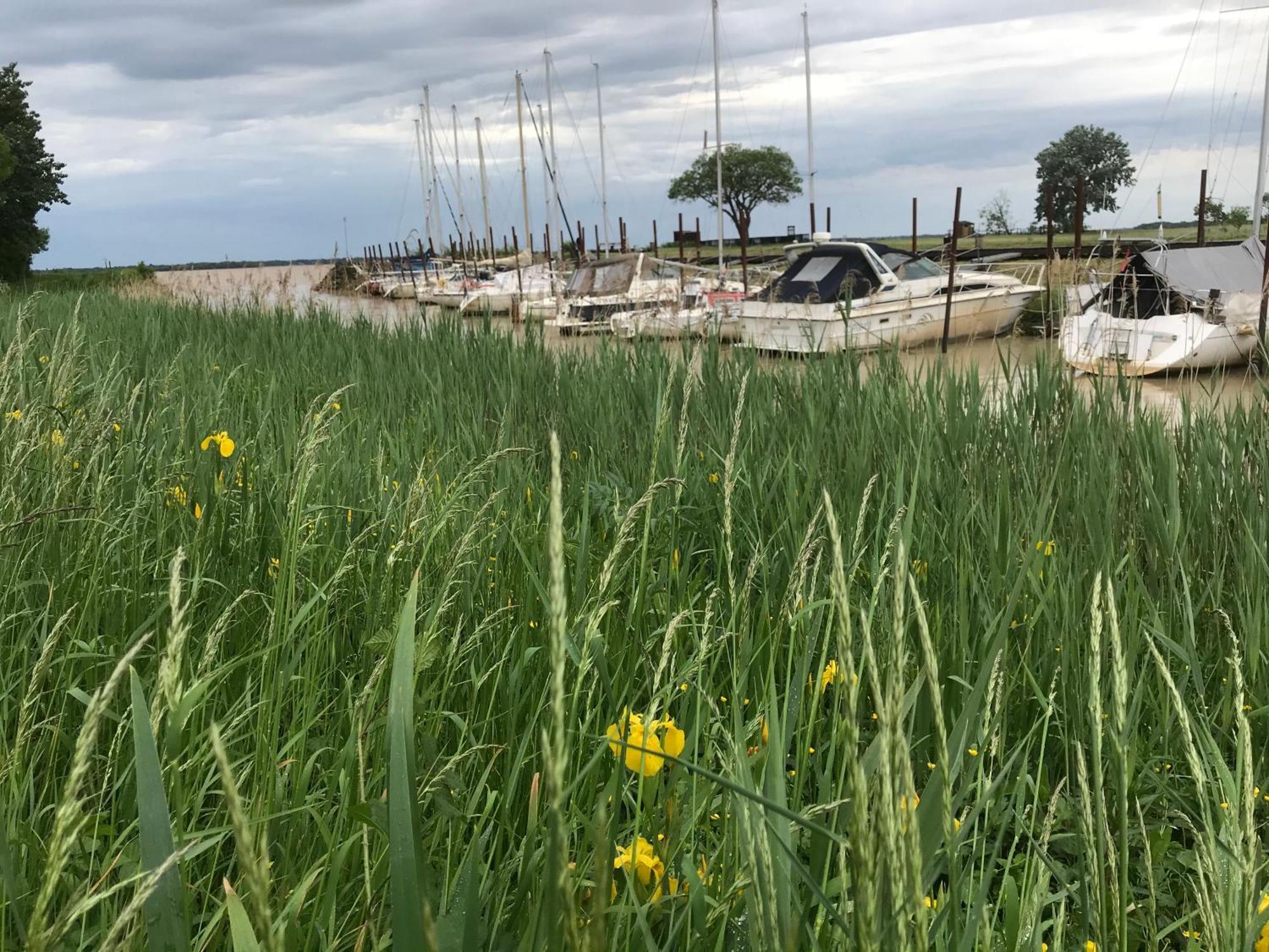 Appartement Avec Vue Panoramique Sur L'Estuaire De La Gironde Plassac  Exteriör bild